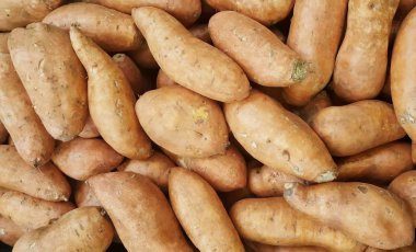 Sweet Potato ekran gevşek bir pazar rafında yığılmış. Ipomoea batatas nişasta ile doludur, tatlı bir tat sahip ve Güney Amerika Birleşik Devletleri'nde popüler bir gıda. 