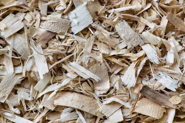Drewno Aspen Wióry Używane Linii Małych Domowych Koszyków Celów Higienicznych — Zdjęcie stockowe