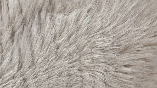 Zbliżenie Obraz Fałszywego Białego Zwierzęcego Futra Długimi Włosami Bogatą Fakturą — Zdjęcie stockowe