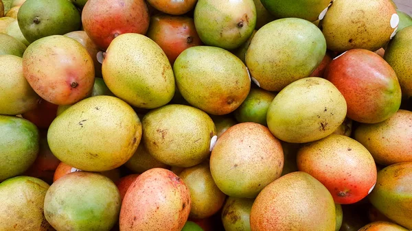 Avocado Mangoes on a market stand, ripe for eating. There are many different mango varieties but they all require tropical climates to survive. This particular variety was grown in Mexico.