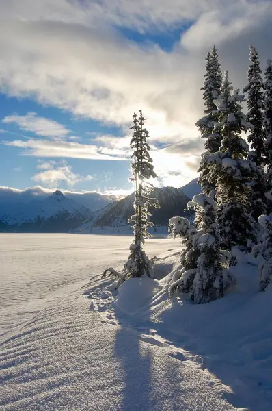 Calm Frozen Lake Glacier Sunset British Columbia Canada — Stock Photo, Image