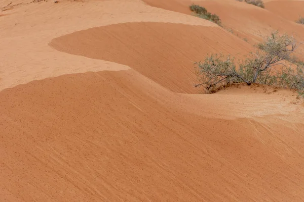 Dunas Areia Padrões Ondas Como Névoa Chuvosa Cai Ras Khaimah — Fotografia de Stock