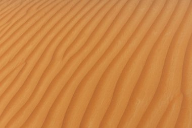 Birleşik Arap Emirlikleri güzel gün ışığında dalgalanan dokulu kum tepeleri arka plan tasarım.