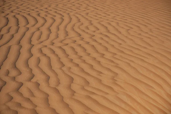 在阿拉伯联合酋长国美丽的阳光下 在波神的沙堆背景下设计了波纹的纹理沙丘 — 图库照片