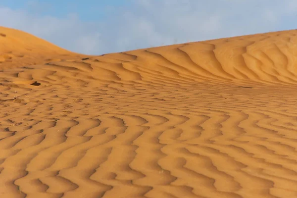 Kabbelend Zandduinen Prachtige Zonneschijn Blauwe Hemelachtergrond — Stockfoto