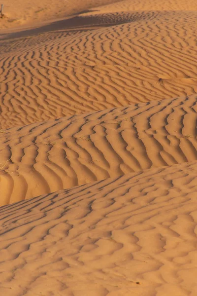 Rippling Multiple Sand Dunes Beautiful Sunshine — Stock Photo, Image