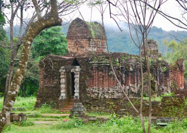 Dağ orman orman gibi serin, yağmurlu, sisli bir günde Merkez Vietnam benim oğlum antik Harabeleri. 