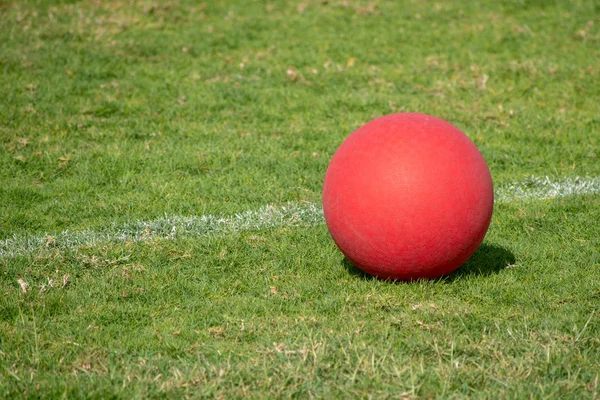 Red speeltuin bal op het groene gras. — Stockfoto