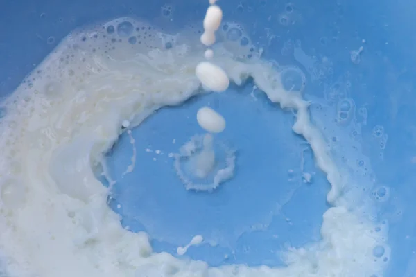 Milk splash on a blue background — Stock Photo, Image