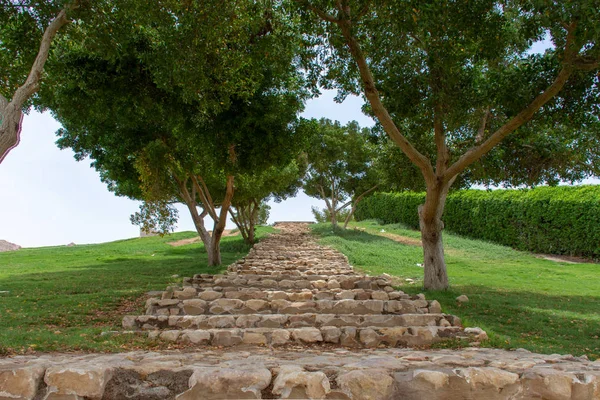 Green Mubazzarah Park Trail or path up the hill in Al Ain, Unite — Stock Photo, Image