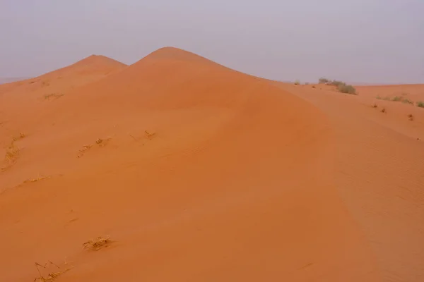일출에 사막은 큰 사막 풍경을 만드는 대담한 탄 오렌지 색 모래를 제공합니다. — 스톡 사진