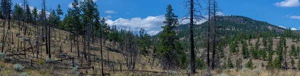 Panorama der okanogan lake mountains in kelowna, britisch columbia — Stockfoto