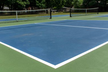 Michigan, ABD pickleball mahkeme rekreasyon spor 