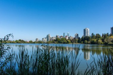 Vancouver Stanley Park Lost Lagoon, British Columbia, Kanada güzel yaz doğaya yakın şehir kentsel daireler doğru bakıyor.