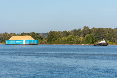 Bir Römorkör New Westminster, British Columbia, Kanada Surrey içine bakarak bir Ledcor Grubu mavna çekerek