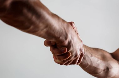 Kurtarma, yardım jest veya eller. Kurtuluş kavramı. İki eli, izole kol, yardım eli, bir arkadaş. El sıkışma, silah. Dost el sıkışma, arkadaşları tebrik. Takım çalışması ve dostluk. Closeu