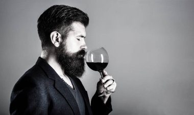 Sommelier, bir bardak kırmızı şarap, şarap imalatçısı, erkek şarap üreticisi. Sakallı, sakallı, şarap içen şarap garsonu. Elinde bir bardak şarap olan bir adam.