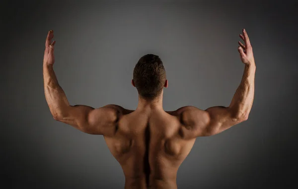 Muskulöser Rücken, männlich nackt, gesunder muskulöser Typ, Oberkörper Mann. muskulöser Rücken, starker Mann, Bodybuilder, muskulöser Mann. Sportlicher Typ, männliche Power. Fitness muskulöser Mann. Sportkaukasier. Bodybuilding, ab, sexy — Stockfoto