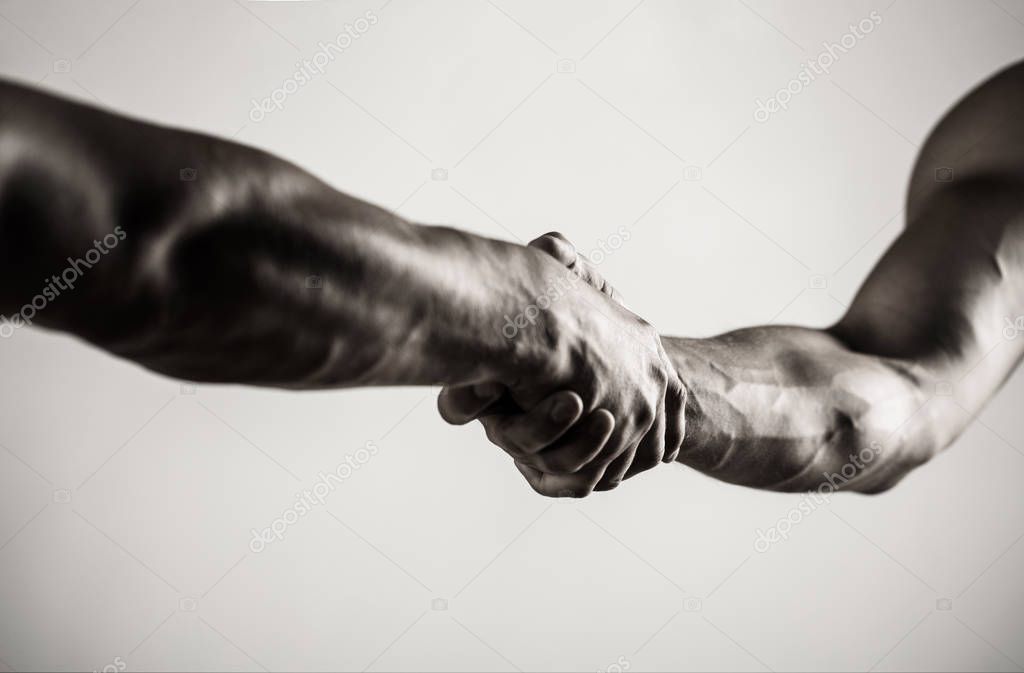 Two hands, isolated arm, helping hand of a friend. Handshake, arms. Friendly handshake, friends greeting. Teamwork and friendship. Closeup. Rescue, helping gesture or hands. Concept of salvatio