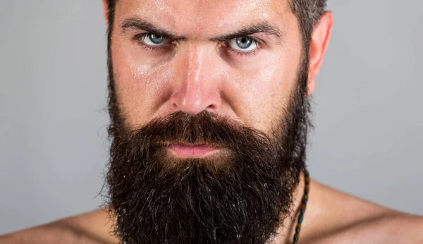 Portret van mannelijkheid. Sexy blik van de man. Hipster man met baard, snor. Sexy man. Portret brute bebaarde man. Knappe brutale man. Sexy close-up portret van brute knappe mannelijke, zwart baard — Stockfoto