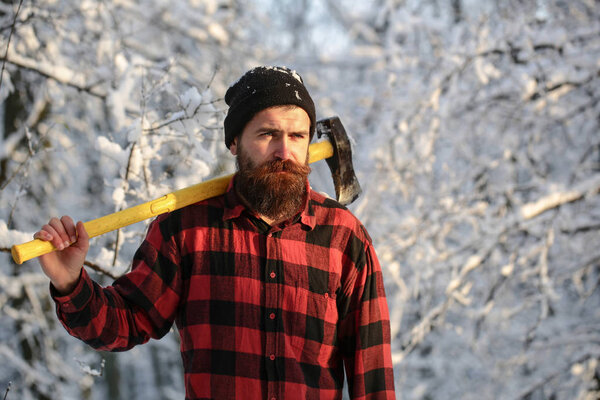 Bearded man with a hatchet, forestry. Handsome man, hipster in snowy forest. Lumberjack in the woods with an ax on winter day. Male holds an ax on a shoulder. Brutal bearded man. Male with an ax