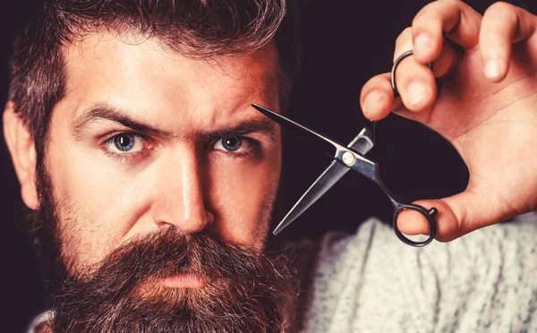 Mans haircut in barber shop. Barber scissors, barber shop. Brutal male, hipster with moustache. Male in barbershop, haircut, shaving. Portrait of stylish beard man, scissors