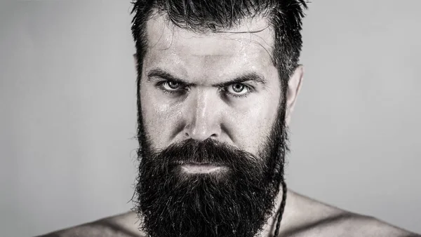 Handsome brutal male. Portrait of masculinity. Portrait brutal bearded man. Sexy closeup portrait of brutal handsome male, black beard. Sexy look of male. Hipster man with beard, sexy. Black and whit — Stock Photo, Image