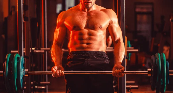 Bodybuilder athletic man with six pack, perfect abs, shoulders, biceps, triceps, chest. Barbells workout. Athletic guy standing with barbell, workout in gym