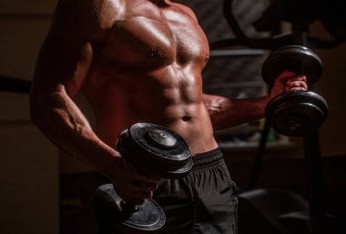 Spor salonundaki halterli kaslı adam. Spor salonunda dambıllarla antrenman yapan bir sporcu. Karın kasları ve pazılar. Dambılı kaslı adam. Spor salonunda güçlü bir vücut geliştirici.