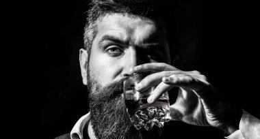 Sakallı adam cam brendi tutuyor. Sakallı konyak. Sommelier içkinin tadını alır. Elinde bir bardak viski tutan bir adam. Viski yudumluyor. Kalın sakallı bir adamın portresi. Maço içki. Degukasyon, tatma