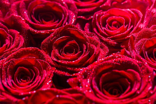 Bouquet of fresh roses, flower bright background. A close up macro shot of a red rose. Flower shop. Red rose flower, petals. Bouquet of flowers, fresh red rose. Collage of red roses — Stock Photo, Image