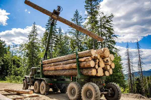 Orman endüstrisi. Kamyon ormana odun yüklüyor. Kütükleri tomruk kamyonuna yüklüyorum. Ağaç kesme kamyonunda taşınabilir vinç. Orman traktörleri, kamyonlar ve kereste makineleri. Ağaçların düşüşü, kesilen ağaçlar.