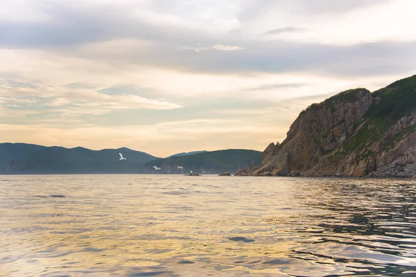 Evening sea landscape against Sihote-Alin mountains with seagulls