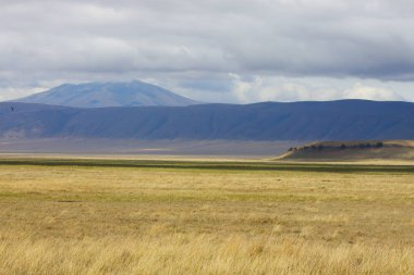 Ngorongoro koruma alanı Afrika peyzaj