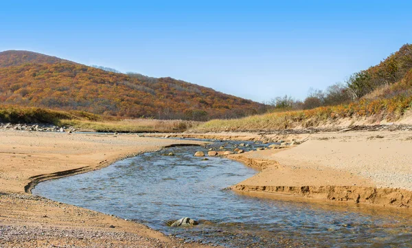 Herbstlandschaft Des Wilden Ortes Des Namenlosen Flusses Ufer Des Meeres — Stockfoto