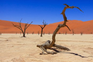 Kırmızı kum tepeleri tarafından çerçeveli bir eski ölü göl sonundaki Namib Naukluft Milli Parkı - Deadwood standları