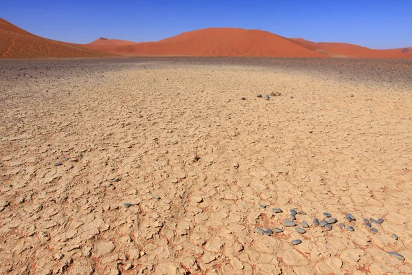 Namib Naukluft National Park Famous World Largest Red Sand Dunes — Stock Photo, Image