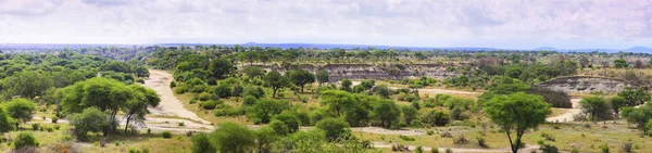 Panorama Del Parco Nazionale Tarangire Tanzania — Foto Stock