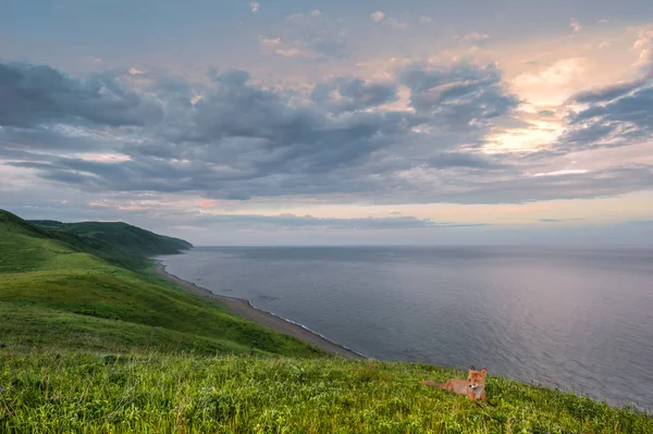 Landschaft Dämmerung Einer Wilden Bucht Rest Des Kleinen Fuchses — Stockfoto