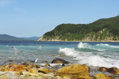 Seaside geçerli / deniz manzarası - Japon, Uzak Doğu, Rusya'nın doğu kıyısındaki Chikhachev Boğazı