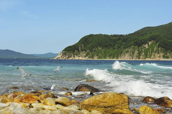 Seaside Current Seascape Chikhachev Strait East Coast Sea Japan Far — стоковое фото