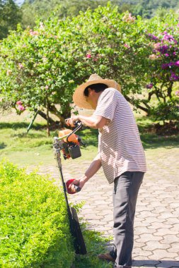 Bahçede çalışan Bahçıvan yeşil çalı hizalar