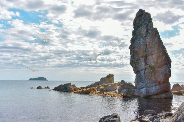 Морской пейзаж серебристым утром со скалой — стоковое фото