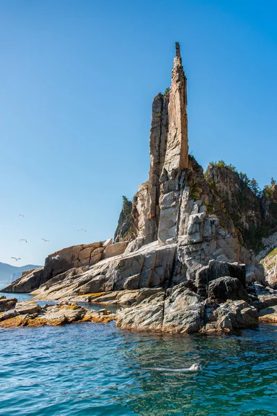 Landskap. Kustkekuras med ringad säl — Stockfoto