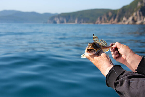 Утренний укус
