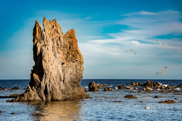 Морской пейзаж с камнем, тюленями и чайками — стоковое фото