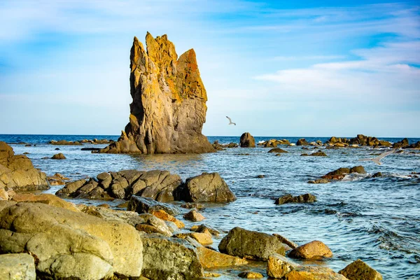 Морской пейзаж с камнем, тюленями и чайками — стоковое фото