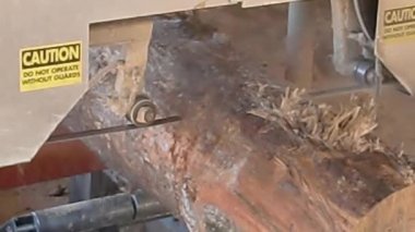 Şerit testere saw mill bir günlük kırpma dan