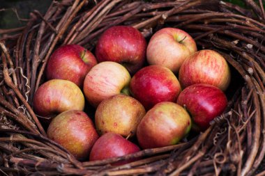 Beton üzerinde bir yuva taze elma