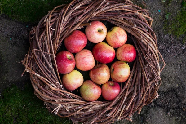 Fresh Apples Nest Concrete — Stock Photo, Image